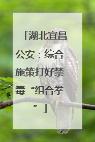 湖北宜昌公安：综合施策打好禁毒“组合拳”